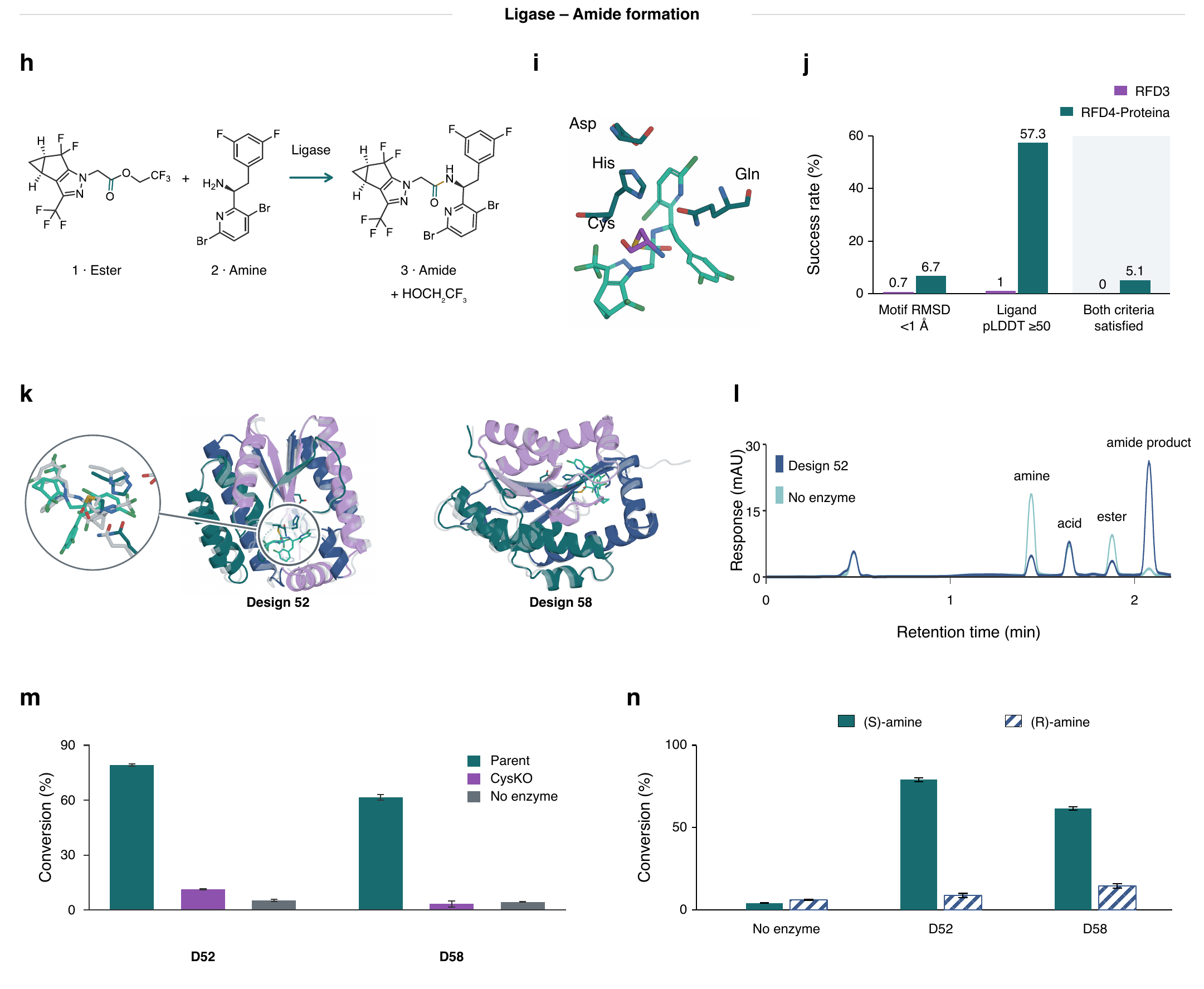 Ligase design: reaction, theozyme, success rates, designs, and conversion