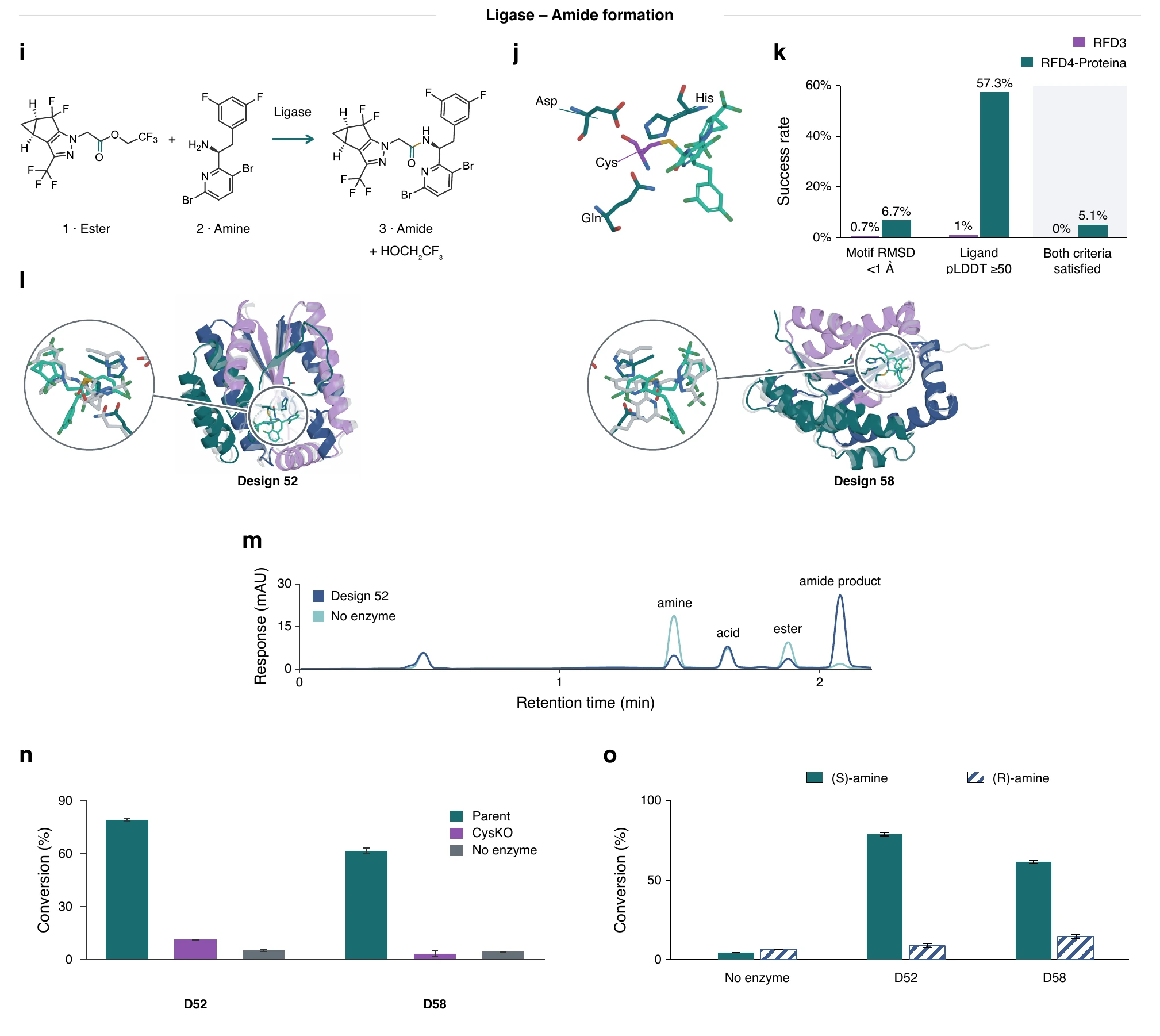 Ligase design: reaction, theozyme, success rates, designs and conversion